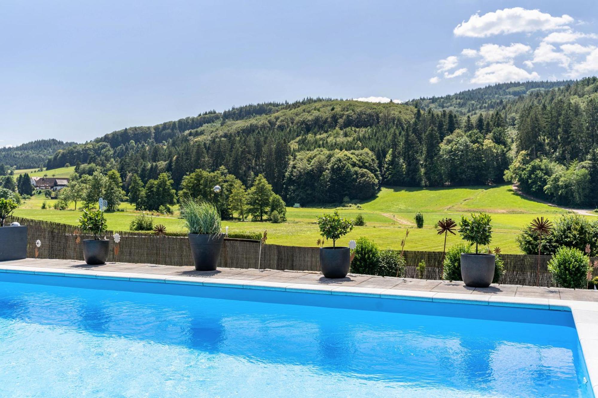 Ferienwohnung Geisbergblick Seelbach  Exteriér fotografie